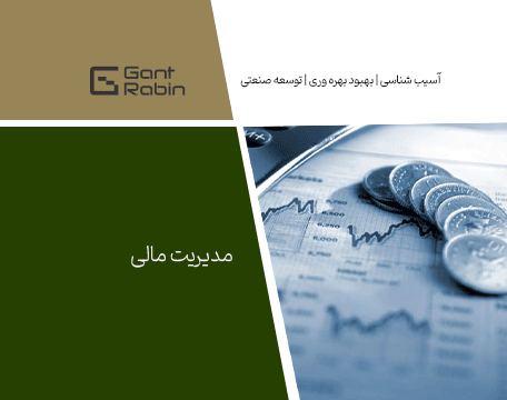 مدیریت مالی