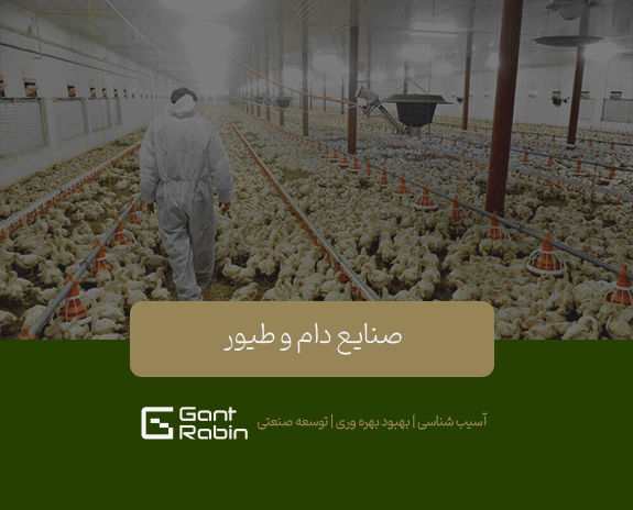 صنایع دام و طیور